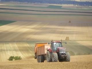 La fertilisation organique pro